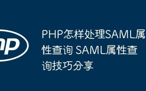 PHP怎样处理SAML属性查询 SAML属性查询技巧分享