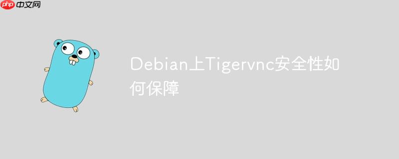 debian上tigervnc安全性如何保障