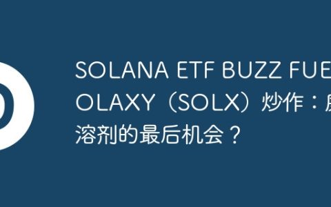 SOLANA ETF BUZZ FUELS SOLAXY（SOLX）炒作：廉价溶剂的最后机会？