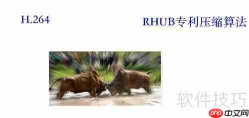 好视通和视高gomeetnow哪个好?