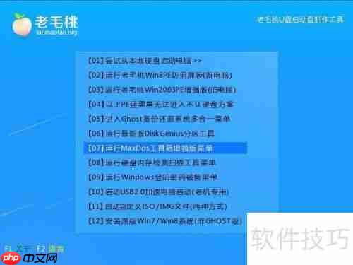晨枫磁盘检测工具chkdsk使用教程