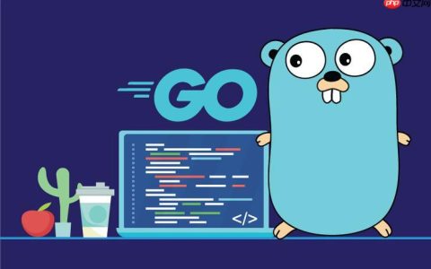 Go 语言在处理高并发数据库连接时的常见问题与解决方案