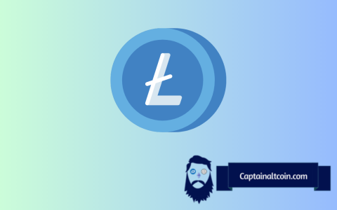 Litecoin的隐藏设置：即将进行40％的集会？