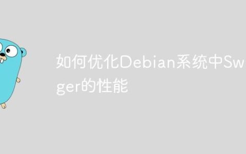 如何优化Debian系统中Swagger的性能