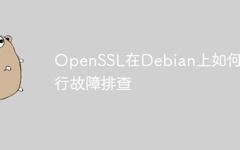 OpenSSL在Debian上如何进行故障排查