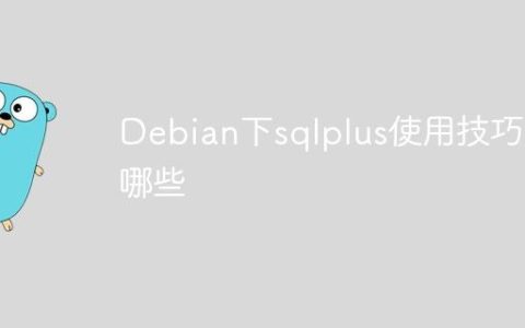 Debian下sqlplus使用技巧有哪些
