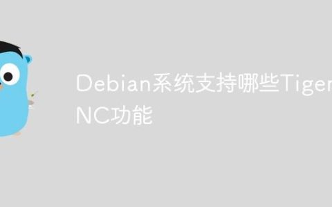 Debian系统支持哪些TigerVNC功能