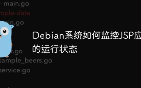 Debian系统如何监控JSP应用的运行状态