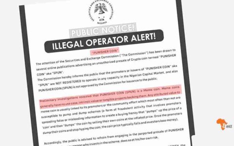 法规，惩罚者硬币和投资者风险：模因硬币警告性故事