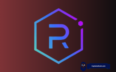 Raydium（Ray）价格泵：骑加密货币波