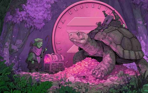 Solana Memecoin Mania：将波浪骑到历史最高点？