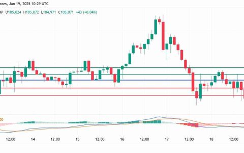 比特币的$ 10万美元持有：机构流入和前方的道路