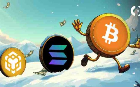 Solana，BNB，比特币：解码加密十字路口