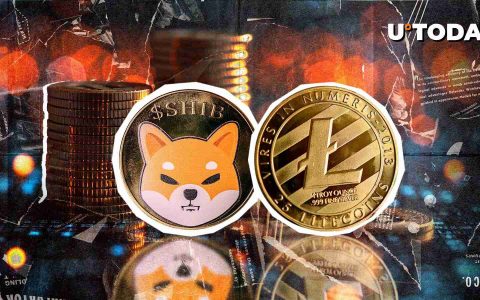 莱特币与什巴·伊努（Shiba Inu）：加密货币竞争加热
