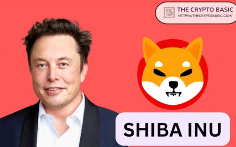 Shiba Inu，Elon Musk和Net Worth：Meme Coin的Moonshot？