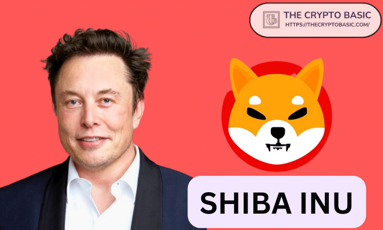 Shiba Inu,Elon Musk和Net Worth:Meme Coin的Moonshot?