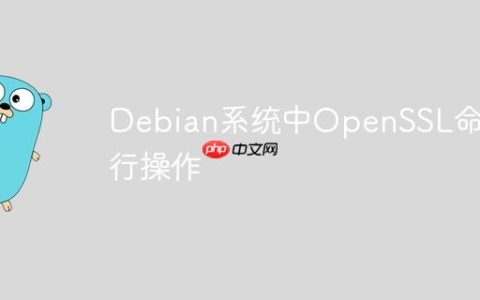 Debian系统中OpenSSL命令行操作