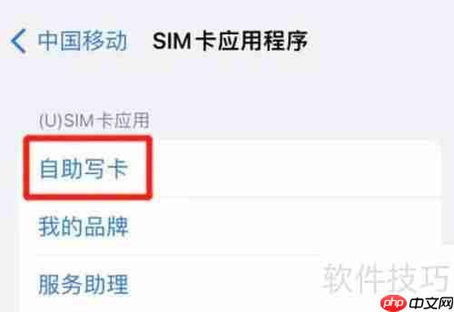 iPhone自助写SIM卡教程:快速上手指南