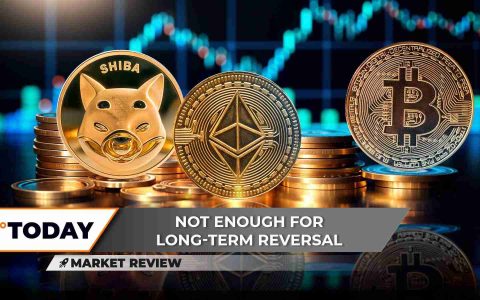 shiba inu，以太坊和比特币：导航加密十字路口