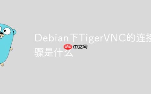Debian下TigerVNC的连接步骤是什么
