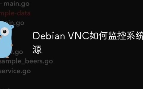 Debian VNC如何监控系统资源
