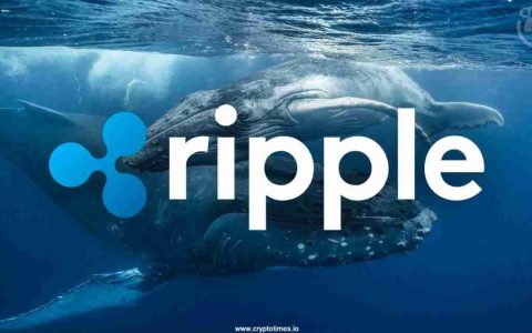 Ripple，XRP和Coinbase：导航鲸鱼运动和ETF希望