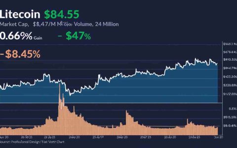 Litecoin：加密货币市场中的弹性竞争者