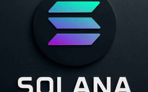 Solana的价格趋势：导航机构支持和市场情绪