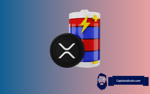 XRP价格，波纹和中央银行：解码连接
