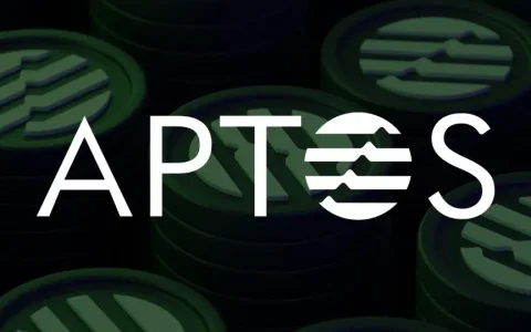 怀俄明州，Aptos，SEI：开创Stablecoins的未来