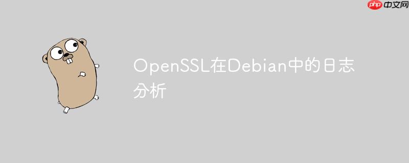 openssl在debian中的日志分析