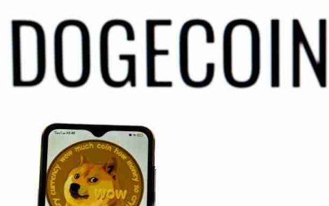 Dogecoin价格预测：WXY校正信号大规模突破？