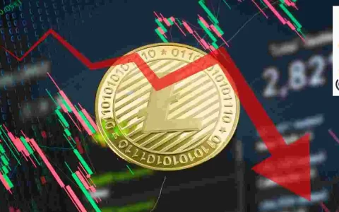 Litecoin ETF希望与崩溃风险发生冲突：纽约州的观点