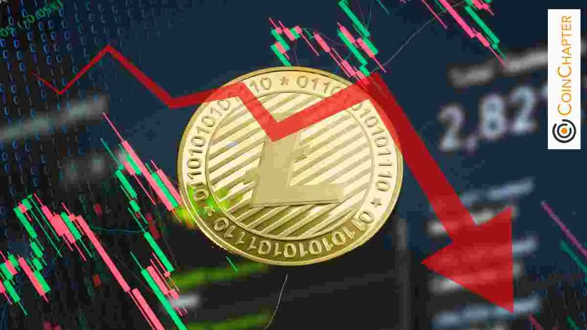 Litecoin ETF希望与崩溃风险发生冲突:纽约州的观点