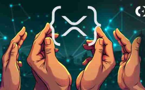 XRP Ledger的交易胜利：24小时内510万！
