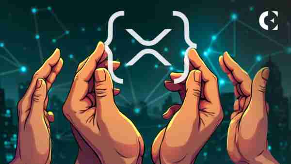 XRP Ledger的交易胜利:24小时内510万!