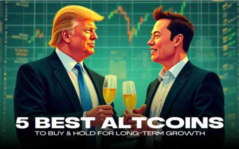 加密项目获得了吸引力：2025年的热门是什么？