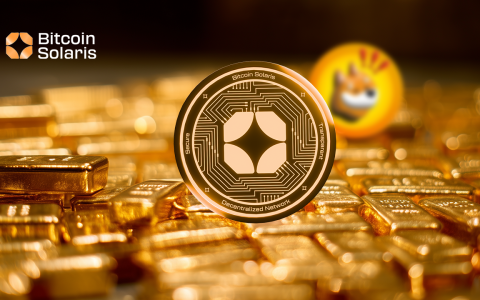 Bonk硬币，比特币和比特币Solaris的兴起：什么是嗡嗡声？