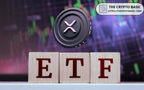 XRP，ETFS和比特币：加密货币骑行的纽约分钟