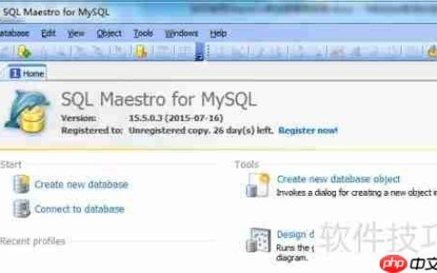 Maestro导出HTML格式数据库表报告的方法