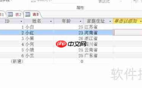 Access数据库入门：设置字体格式教程
