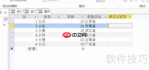 Access数据库入门:设置字体格式教程