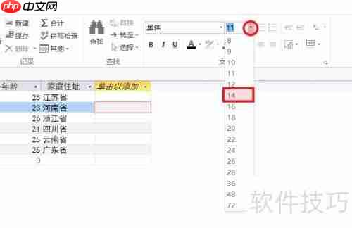 Access数据库入门:设置字体格式教程