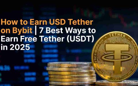 USDT在Bybit上：您的2025年收入指南