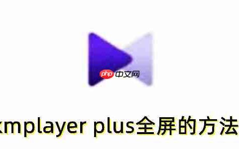 kmplayer plus怎么全屏？kmplayer plus全屏播放的方法
