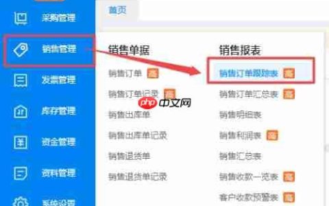 WPS进销存系统：销售订单跟踪表导出Excel教程