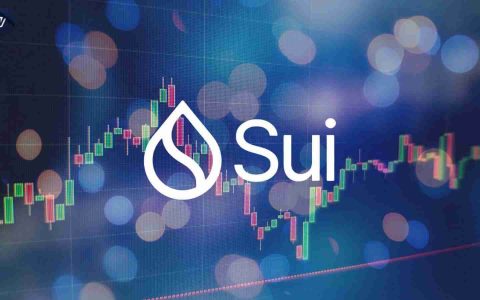 SUI价格检查：交易前景和2025年的预测 – 有什么交易？