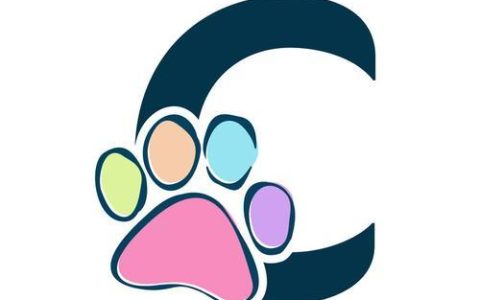 C++如何实现并查集 C++并查集的数据结构与实现
