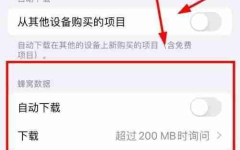 iPhone14设置图书蜂窝数据自动下载方法