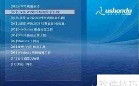 u深度win08pe系统下硬盘低级格式化教程